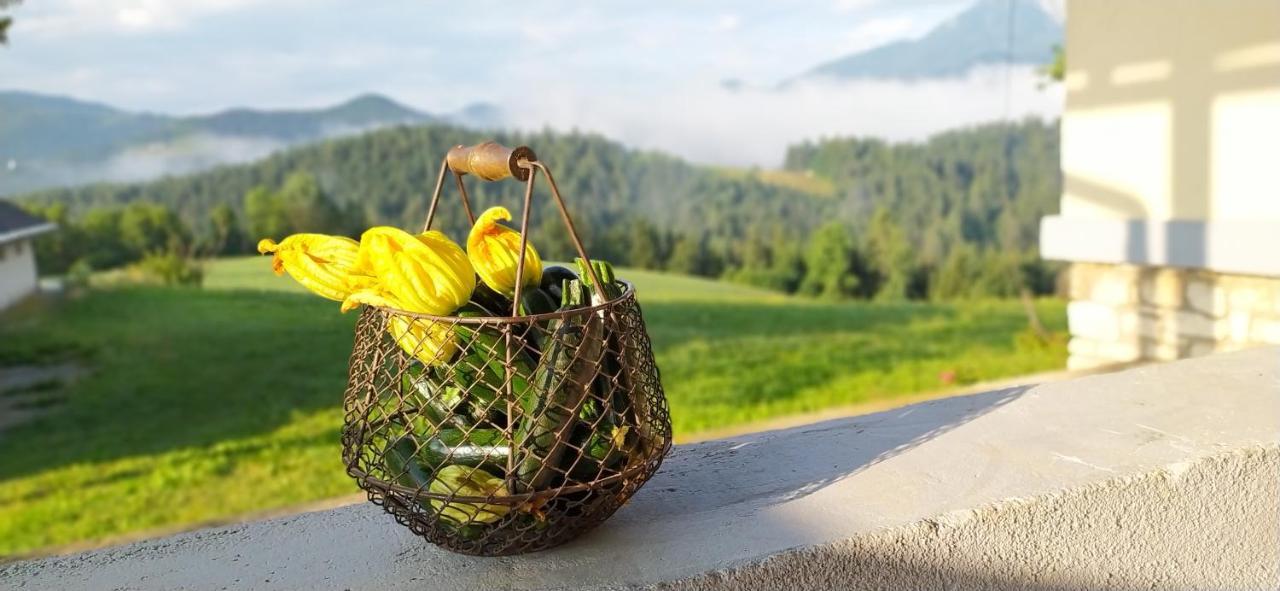 Kmetija Pecnik Appartement Prevalje Buitenkant foto