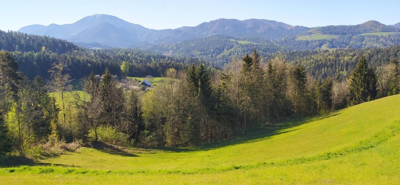 Kmetija Pecnik Appartement Prevalje Buitenkant foto