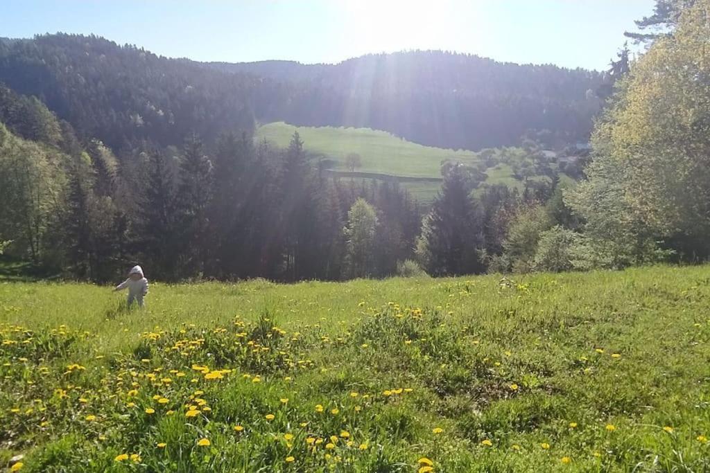 Kmetija Pecnik Appartement Prevalje Buitenkant foto