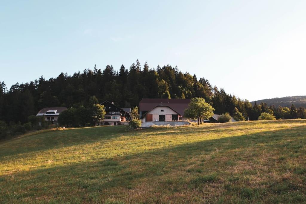 Kmetija Pecnik Appartement Prevalje Buitenkant foto