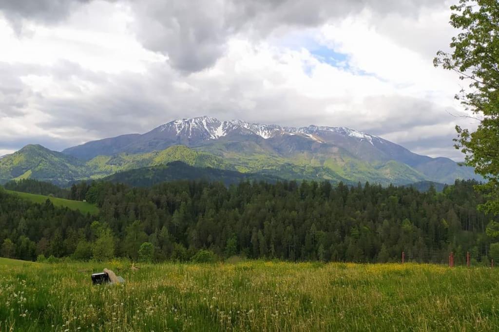 Kmetija Pecnik Appartement Prevalje Buitenkant foto