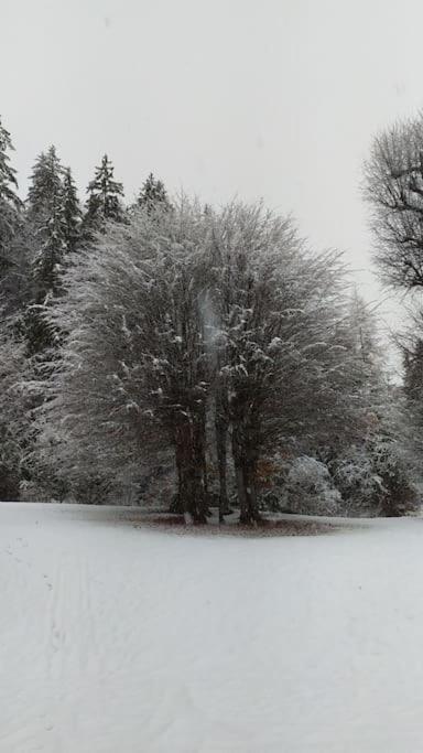 Kmetija Pecnik Appartement Prevalje Buitenkant foto