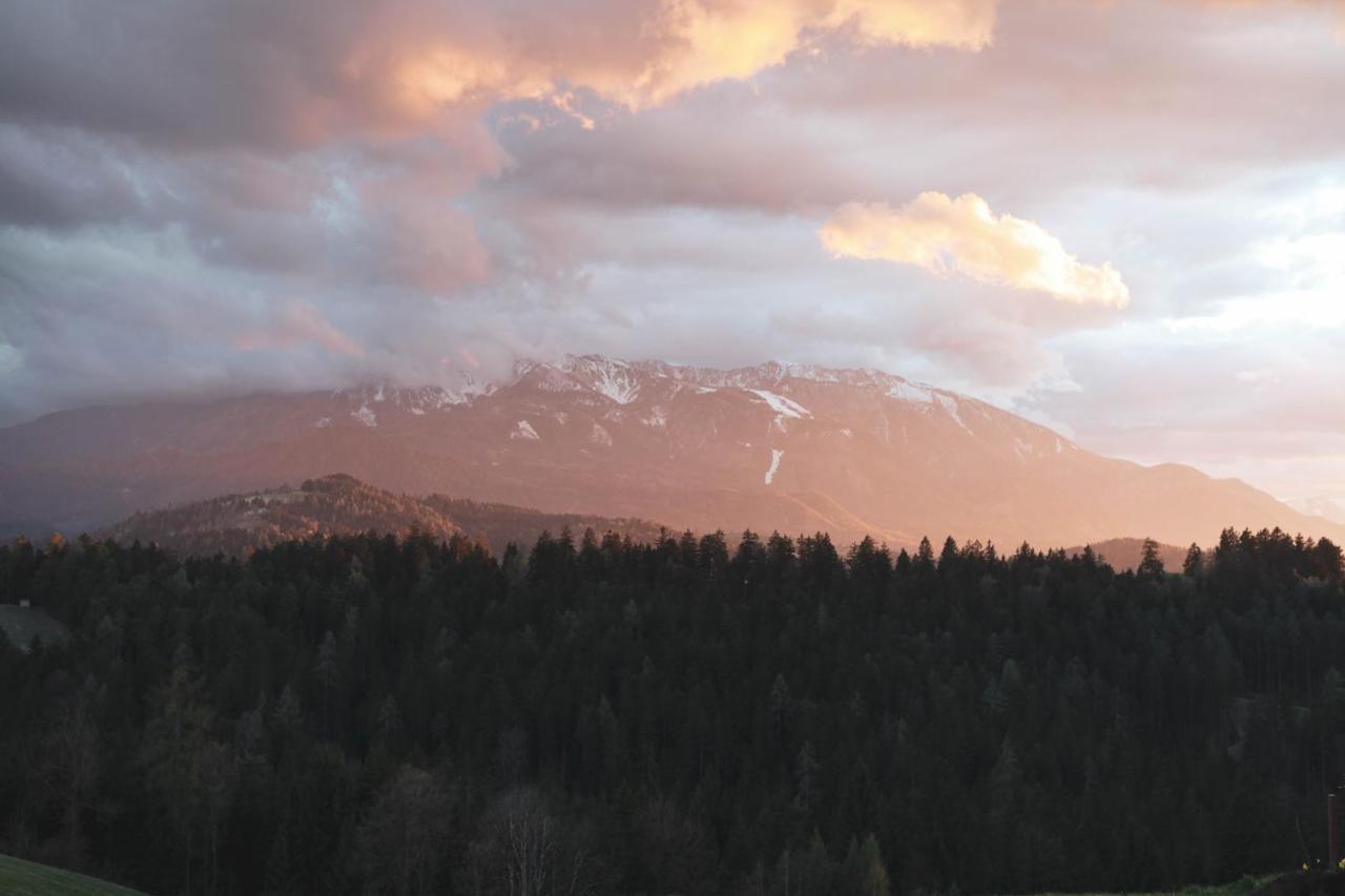 Kmetija Pecnik Appartement Prevalje Buitenkant foto